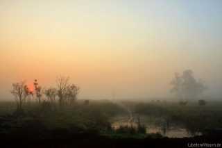 Brandenburger Natur landscape 1_3917_1