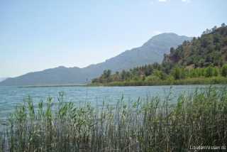 Koeycegiz_IMG_0036