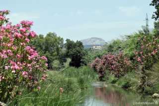 Andalusien - Rio Turon_IMG_1099