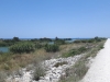 Guadalhorce Delta in Malaga_142404