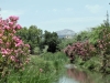 Andalusien - Rio Turon_IMG_1099