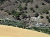 Casa Arroyo de la Montana - Alora_IMG_1804