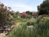 Rio_Turon near Ardales_132201